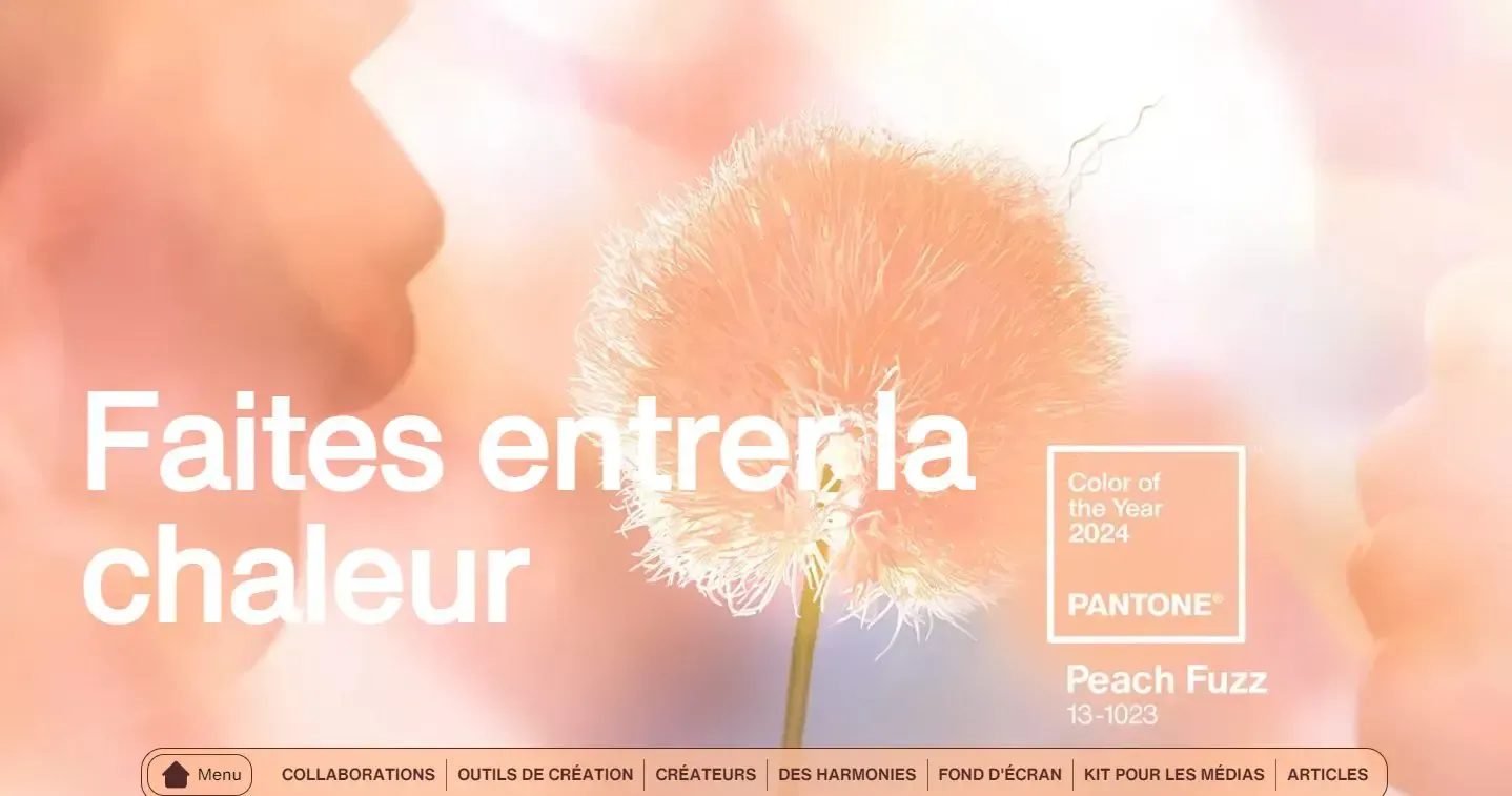 PANTONE® France - Color of the Year 2024