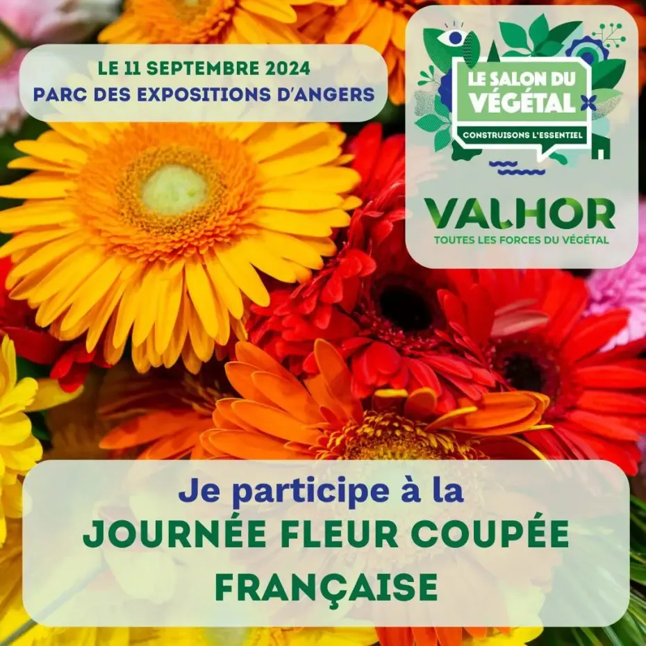 Journée fleurs coupées salon du végétal 2024