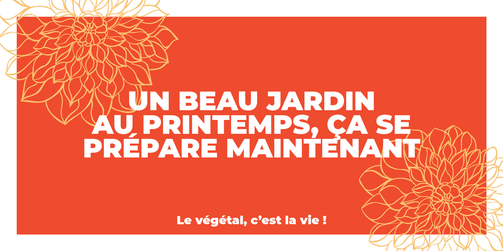 Vignettes campagnes de communication 2022